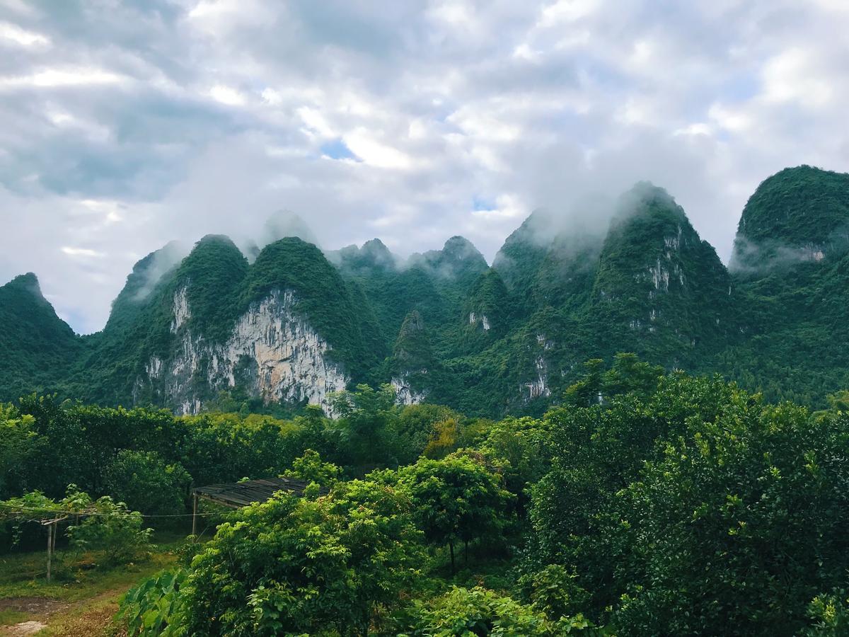 Nirvana Organic Farm Inn Dương Sóc Ngoại thất bức ảnh