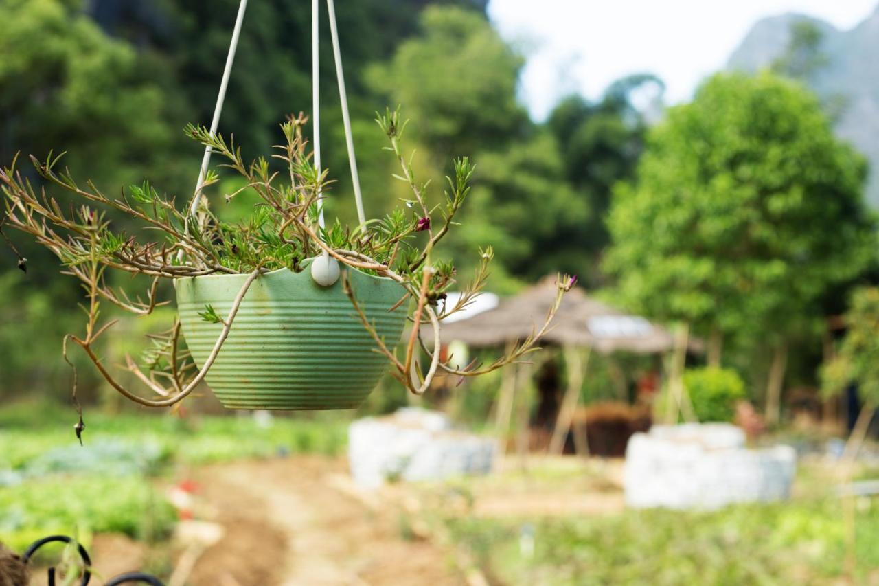 Nirvana Organic Farm Inn Dương Sóc Ngoại thất bức ảnh