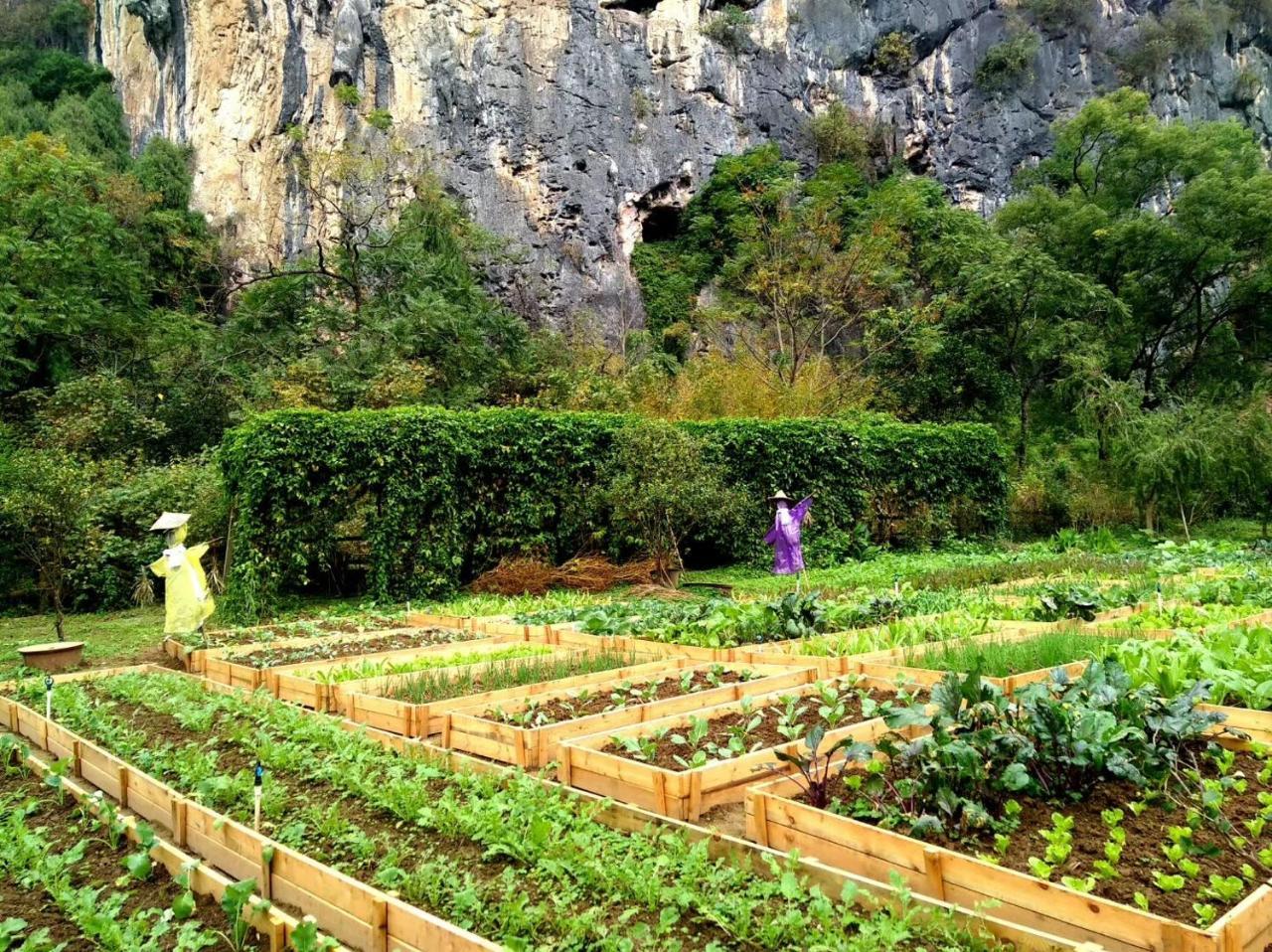 Nirvana Organic Farm Inn Dương Sóc Ngoại thất bức ảnh